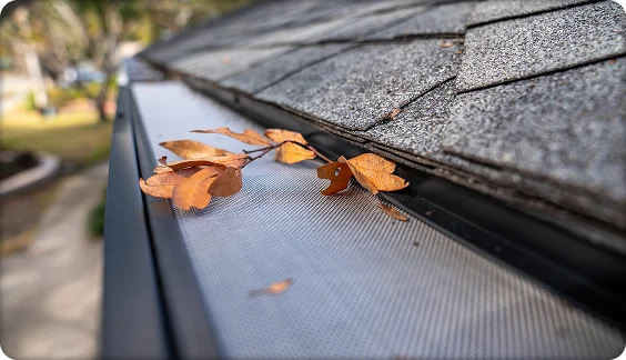 Gutter guard mesh installed on roof edge with leaves resting on top for debris protection