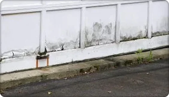 Building exterior showing stains, mold, and peeling paint near the base of the wall